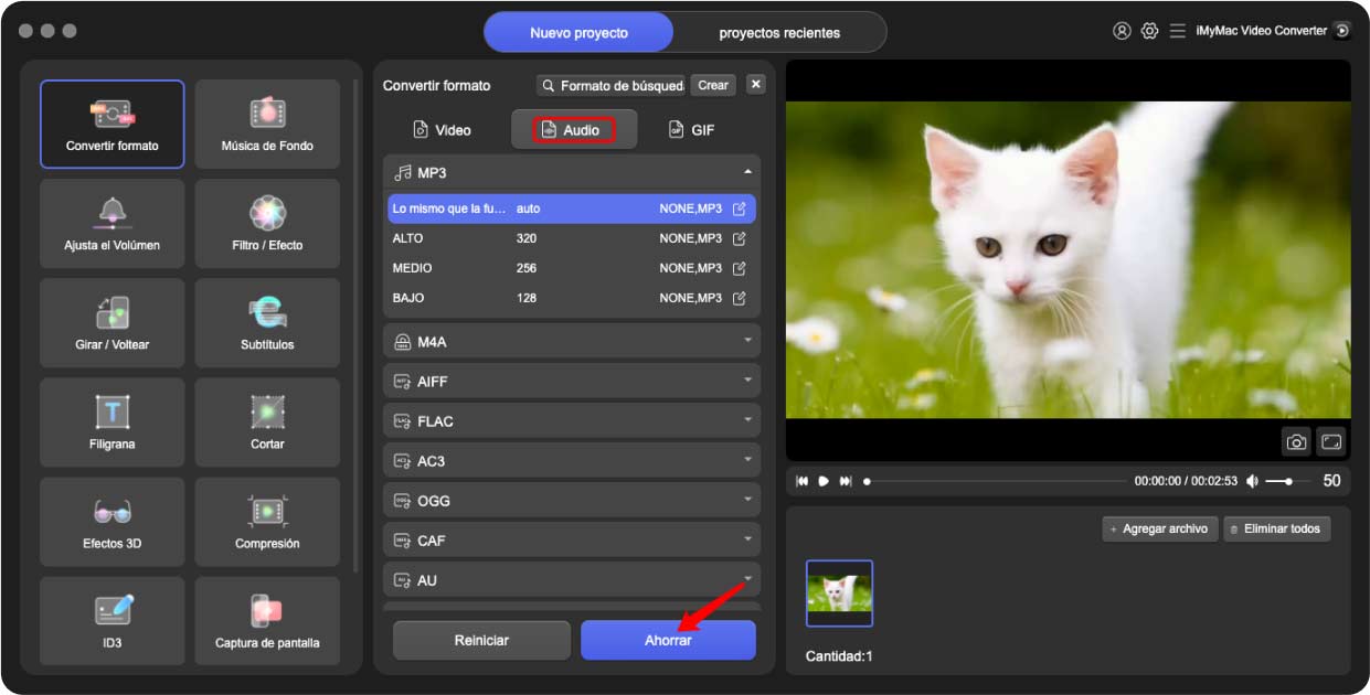 Convierte TikTok a MP3 con iMyMac Video Converter