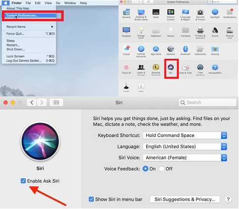 Cómo deshabilitar Siri en Mac
