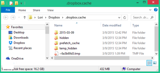 Borrar caché de Dropbox en Windows