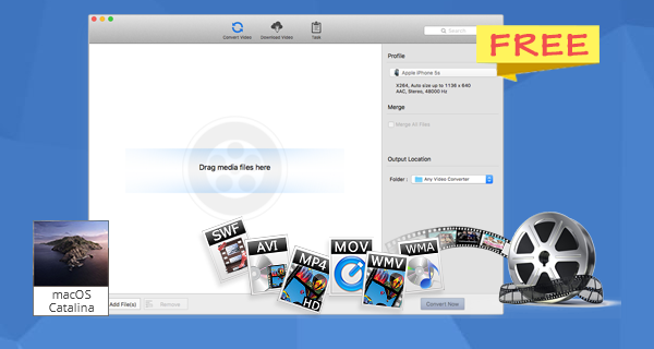 Any Video Converter gratis