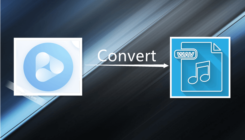 Convertir video a WAV