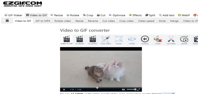 Convertidor FLV a GIF en línea