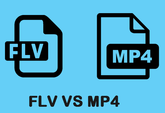 FLV frente a MP4